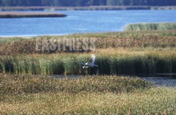 EA280430, Eastpress, Porvoo, Finland